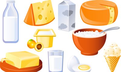 milk_and_products_sketch milk_and_products_sketch