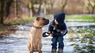 shutterstock_175204865
